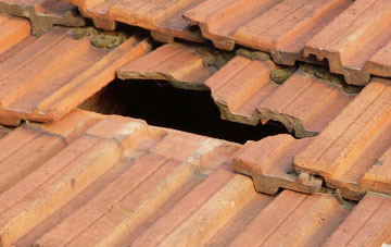roof repair Shortmoor