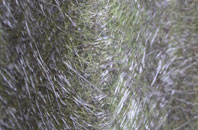 Shortmoor fibreglass roof work